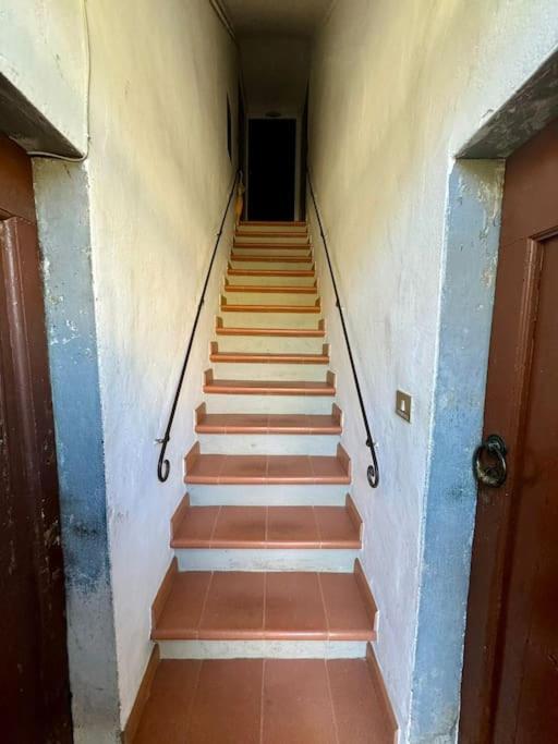 Beautiful And Cosy 1br Apartamento Florencia